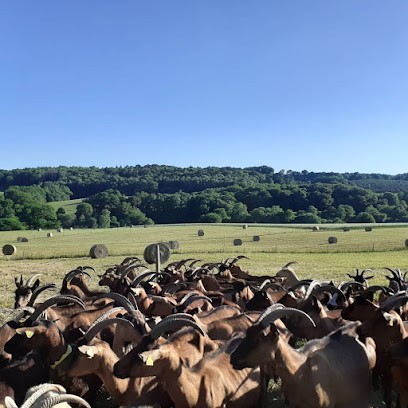 La Ferme Du Pont De L'Angle, Fabricant de Fromages à Lanvaudan