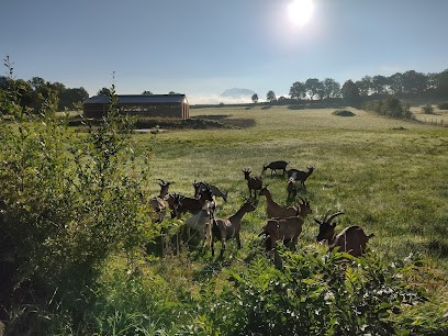 La Ferme Des Cabri'Olby, Fromagerie à Olby