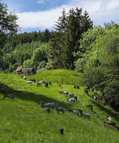 GAEC Les Biquettes Des Merlusses, Fabricant de Fromages à Lusse