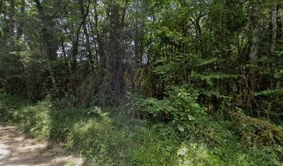 La Ferme Du Chant Du Bois, Fromagerie à Marçay