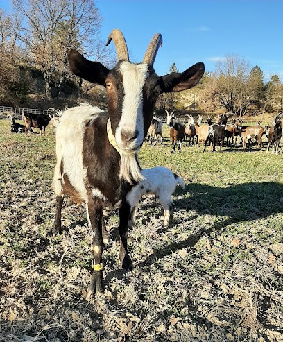 La Ferme Taterre, Fabricant de Fromages à Sigonce