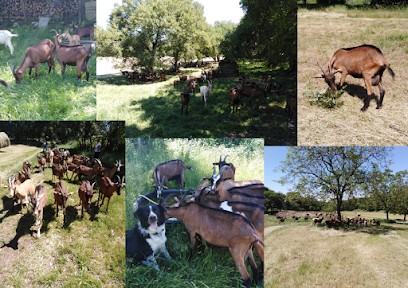 Ferme De Michaubas, Fromagerie à Rocamadour