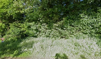 Dynam'is Fromagerie Fromagerie Saint Hippolyte, Fromagerie à Saint-Martin-de-la-Lieue