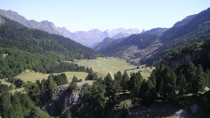 GAEC MOUNET, Fromagerie à Ogeu-les-Bains