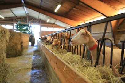LOUMANORE, Fabricant de Fromages à Billy