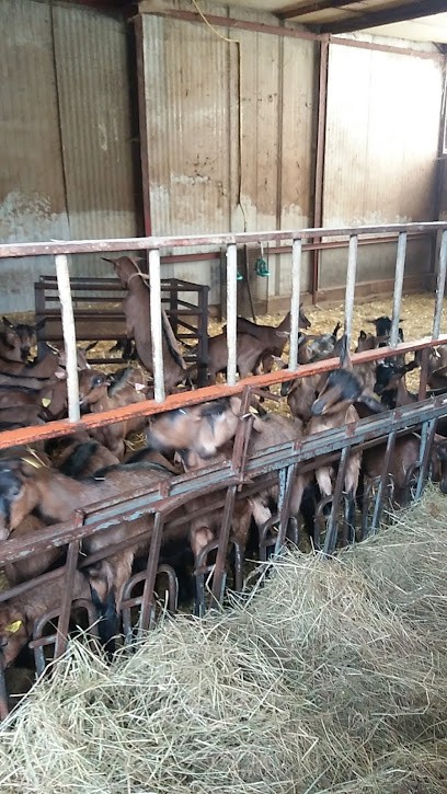 Laurent Perrot, Fromagerie à Savigny-en-Sancerre