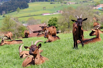 Ferme Les Avoineries, Fabricant de Fromages à Gibles