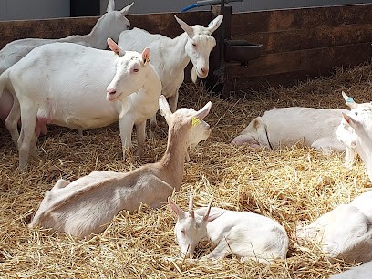 Ferme et fromagerie Huchot, Fabricant de Fromages à Preuschdorf